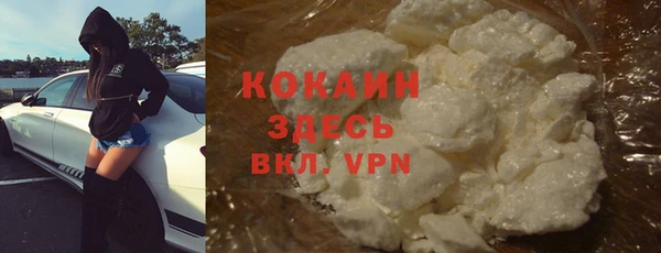 гидра Липки