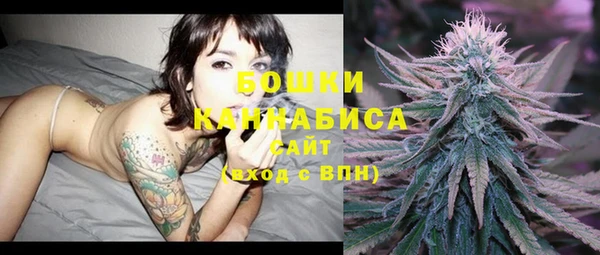метадон Фёдоровский