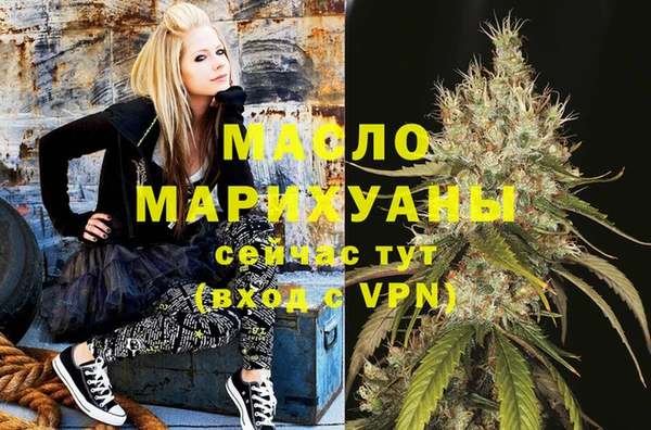гидра Липки