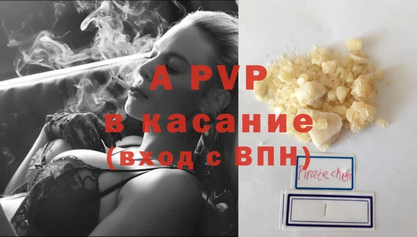 гидра Липки